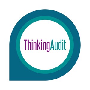 ThinkingAudit Ltd
