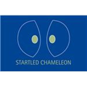 Startled Chameleon Coaching Consultancy Training
