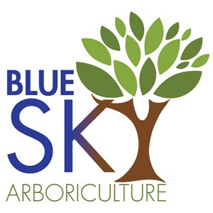BLUE SKY ARBORICULTURE LIMITED
